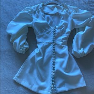 Custom made dress Rat and Boa design!